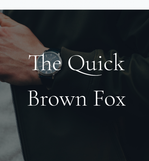 Quick Brown Fox Fashion Website